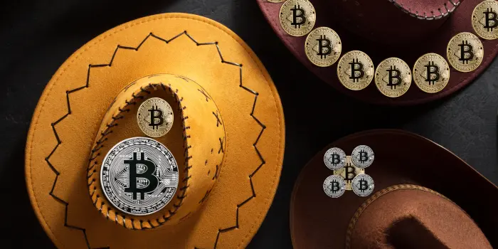 image of 3 hats with bitcoins on them: One is yellow, one is Maroon, and one is brown